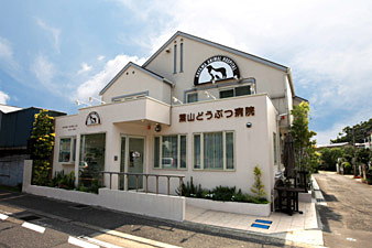 Large Image