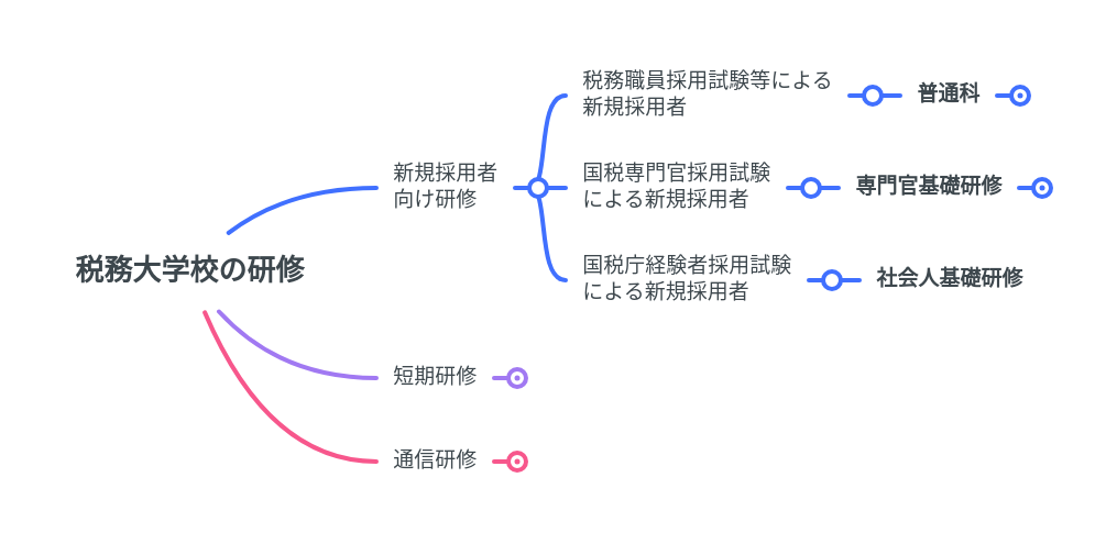 税務大学校の研修